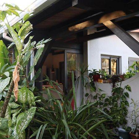 Luxury Cosy Guesthouse Pamplemousses Εξωτερικό φωτογραφία
